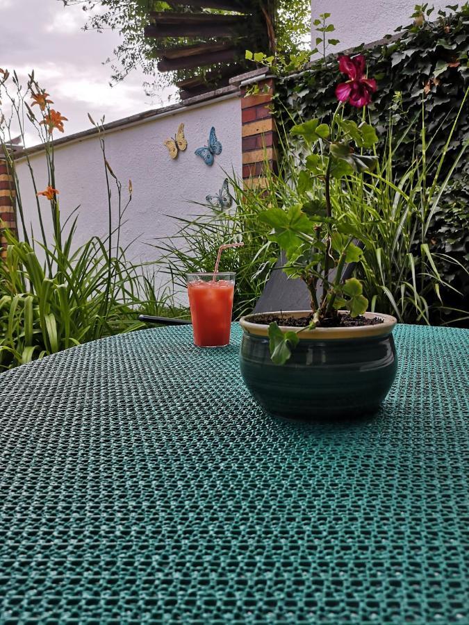 Spreewald Ferienwohnung Wollgast Lübben Zewnętrze zdjęcie