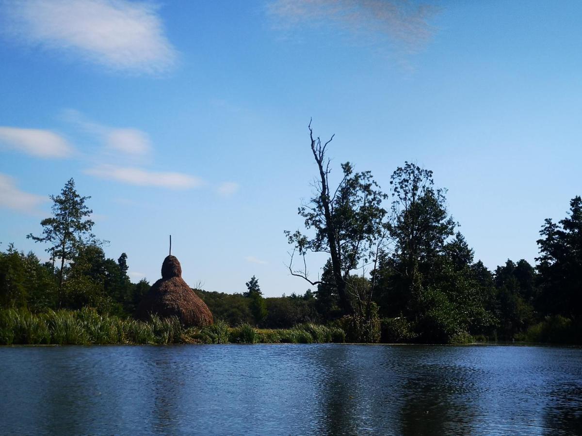 Spreewald Ferienwohnung Wollgast Lübben Zewnętrze zdjęcie