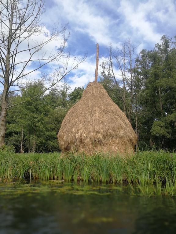 Spreewald Ferienwohnung Wollgast Lübben Pokój zdjęcie